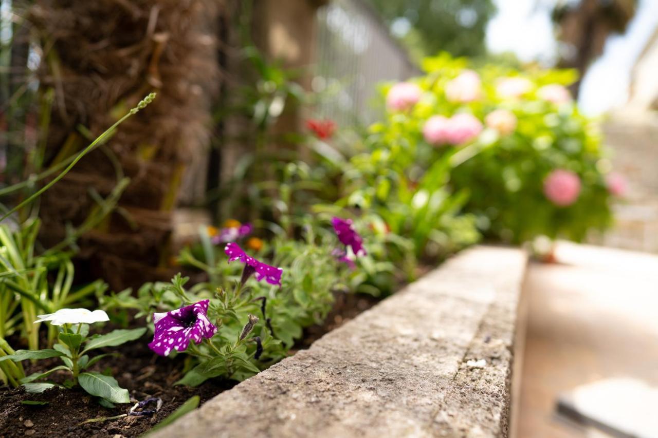 Amalis Apartment ริเยกา ภายนอก รูปภาพ
